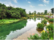 1745739947961519.png image.png